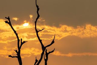 El Niño teprve začíná, ale oceány už vřou. Planeta míří k rekordní anomálii - Seznam Zprávy